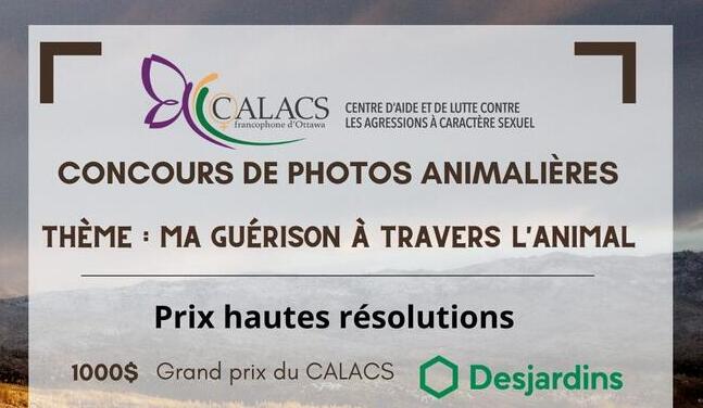 Participe à notre 2e concours de photos animalières !